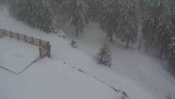 Přístup na běžeckou trať