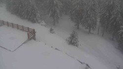 Přístup na běžeckou trať