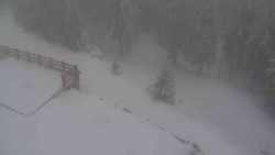 Přístup na běžeckou trať