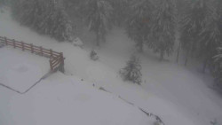 Přístup na běžeckou trať