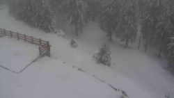 Přístup na běžeckou trať