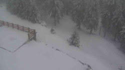 Přístup na běžeckou trať