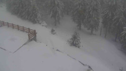 Přístup na běžeckou trať