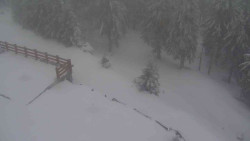 Přístup na běžeckou trať