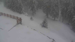 Přístup na běžeckou trať