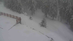 Přístup na běžeckou trať