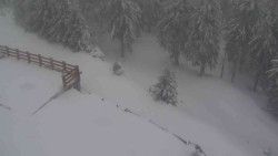 Přístup na běžeckou trať