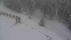 Přístup na běžeckou trať