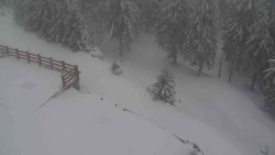 Přístup na běžeckou trať