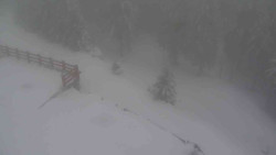 Přístup na běžeckou trať