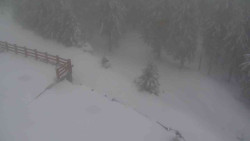 Přístup na běžeckou trať