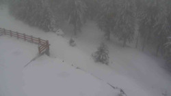 Přístup na běžeckou trať