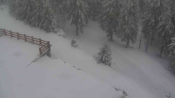 Přístup na běžeckou trať