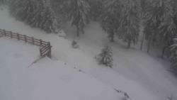 Přístup na běžeckou trať