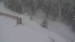 Přístup na běžeckou trať