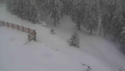 Přístup na běžeckou trať