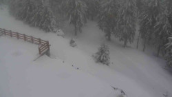 Přístup na běžeckou trať