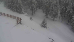 Přístup na běžeckou trať