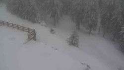 Přístup na běžeckou trať