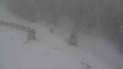 Přístup na běžeckou trať