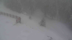 Přístup na běžeckou trať