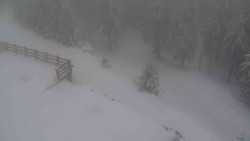 Přístup na běžeckou trať