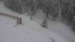 Přístup na běžeckou trať