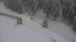 Přístup na běžeckou trať