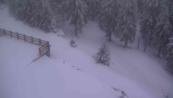 Přístup na běžeckou trať