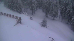 Přístup na běžeckou trať