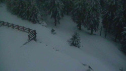 Přístup na běžeckou trať