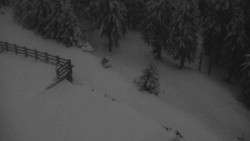 Přístup na běžeckou trať