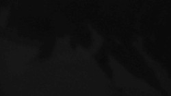 Přístup na běžeckou trať