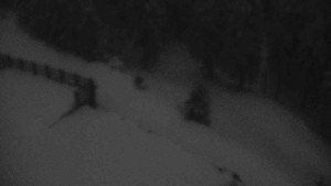 Sporthotel Kurzovní - Přístup na běžeckou trať - 1.4.2026 v 05:50 Sporthotel Kurzovní - Přístup na běžeckou trať - 1.4.2026 v 05:50