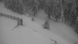 Přístup na běžeckou trať