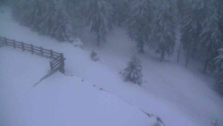 Přístup na běžeckou trať