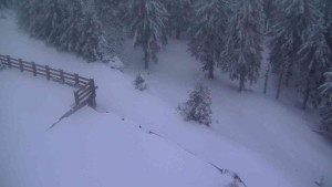 Sporthotel Kurzovní - Přístup na běžeckou trať - 1.4.2026 v 06:10 Sporthotel Kurzovní - Přístup na běžeckou trať - 1.4.2026 v 06:10