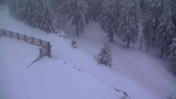 Přístup na běžeckou trať