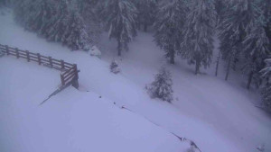 Sporthotel Kurzovní - Přístup na běžeckou trať - 1.4.2026 v 06:15 Sporthotel Kurzovní - Přístup na běžeckou trať - 1.4.2026 v 06:15