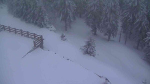 Sporthotel Kurzovní - Přístup na běžeckou trať - 1.4.2026 v 06:20 Sporthotel Kurzovní - Přístup na běžeckou trať - 1.4.2026 v 06:20