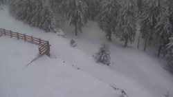 Přístup na běžeckou trať