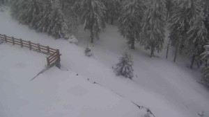 Sporthotel Kurzovní - Přístup na běžeckou trať - 1.4.2026 v 06:25 Sporthotel Kurzovní - Přístup na běžeckou trať - 1.4.2026 v 06:25