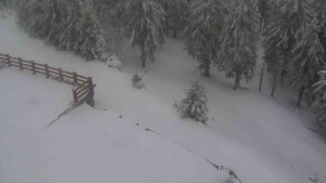 Sporthotel Kurzovní - Přístup na běžeckou trať - 1.4.2026 v 06:40 Sporthotel Kurzovní - Přístup na běžeckou trať - 1.4.2026 v 06:40