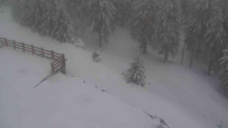 Přístup na běžeckou trať