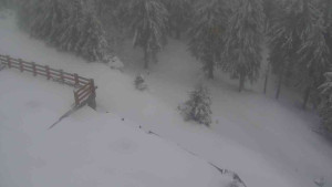 Sporthotel Kurzovní - Přístup na běžeckou trať - 1.4.2026 v 06:45 Sporthotel Kurzovní - Přístup na běžeckou trať - 1.4.2026 v 06:45