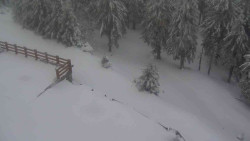 Přístup na běžeckou trať