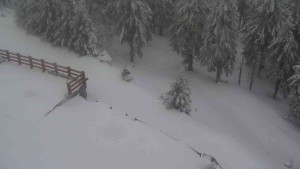 Sporthotel Kurzovní - Přístup na běžeckou trať - 1.4.2026 v 06:50 Sporthotel Kurzovní - Přístup na běžeckou trať - 1.4.2026 v 06:50