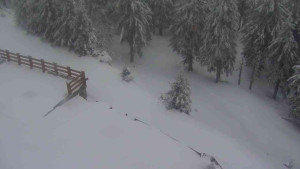 Sporthotel Kurzovní - Přístup na běžeckou trať - 1.4.2026 v 07:00 Sporthotel Kurzovní - Přístup na běžeckou trať - 1.4.2026 v 07:00