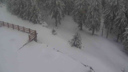 Přístup na běžeckou trať