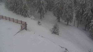 Sporthotel Kurzovní - Přístup na běžeckou trať - 1.4.2026 v 07:05 Sporthotel Kurzovní - Přístup na běžeckou trať - 1.4.2026 v 07:05